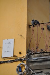 Florens nov.2013 473